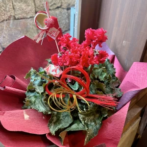 冬の花鉢プレゼント　シクラメン　赤　フリンジ　6寸鉢